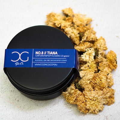 No. 08 Chrysanthemum (aka 'Tiana')