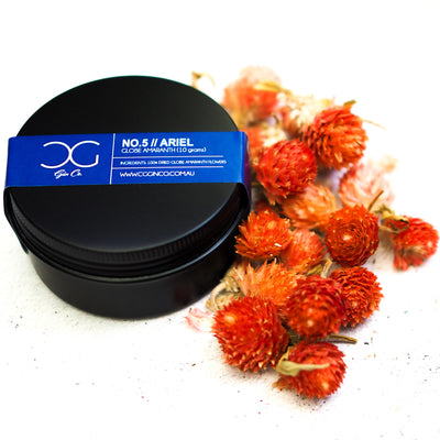 No. 05 - Globe Amaranth (aka 'Ariel')